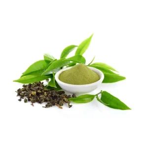 Green Tea Extract